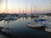 iphone5_330